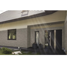Gevel van een huis met raam, voordeur en liggende hond
