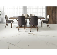 Eetkamer met eettafel, stoelen en vloertegels met marmerlook.