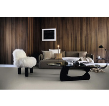 Woonkamer met vloerbedekking, bank, fauteuil en salontafel