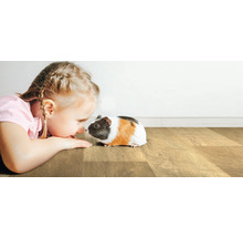 Meisje ligt op houten vloer en raakt cavia aan