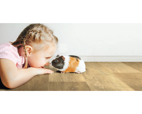 Meisje ligt op houten vloer en raakt cavia aan