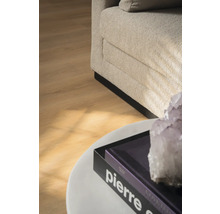 Detailopname van een woonkamer met bank, houtlook vloer, salontafel met boek en decoratieve steen