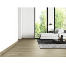 Woonkamer met houten vloer, bank, tapijt en ramen