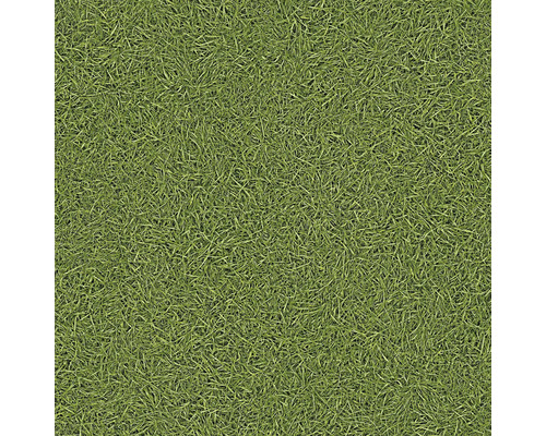 Groen oppervlak met grasstructuur