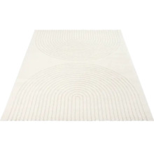 Tapijt met abstract halfcirkelpatroon