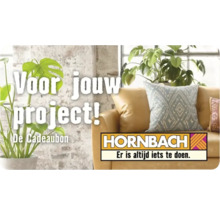 Woonkamer met kamerplanten, kussens en Hornbach logo. Voor jouw project.