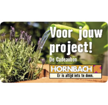 Hornbach Cadeaubon met de tekst Voor jouw project, afbeelding van een gieter die lavendel water geeft en Hornbach Logo.