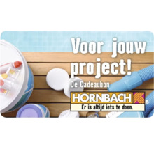 Hornbach cadeaukaart voor zwembadprojecten met afbeeldingen van zwembadonderhoudsproducten op een houten vlonder en Hornbach Logo.