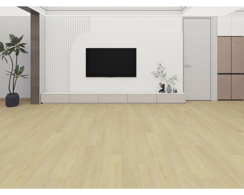 Woonkamer met lichte houten vloer, televisie en decoratie