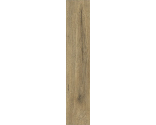 Houttegel met houtlook