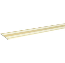 Profielstrip met geribbeld decor