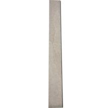 Steenpaneel voor wanddecoratie