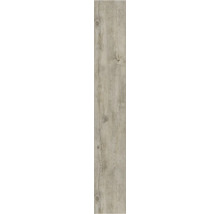 Houttegel met houtlook