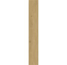 Houten plank