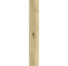 Houtdecor element met noest