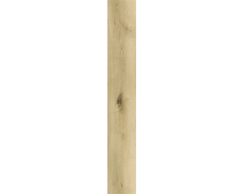 Houtdecor element met noest