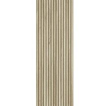 Houten paneel met verticale latten voor wand- en plafondafwerking