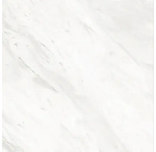 Voorbeeld van een witte marmeren tegel