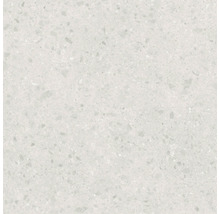 Close-up van een lichte terrazzo tegel.