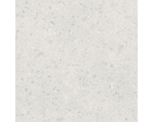 Close-up van een lichte terrazzo tegel.