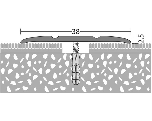 Illustratie van een overgangsprofiel met schroef en plug, afmetingen 38 x 2,5