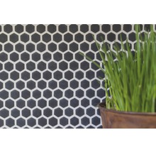 Wandtegels met zeshoekig patroon en plant