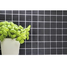 Zwarte tegelwand met basilicumplant in pot