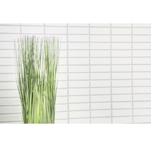 Decoratieve grassen voor een muur van witte mozaïektegels.