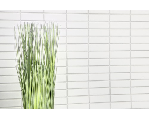 Decoratieve grassen voor een muur van witte mozaïektegels.
