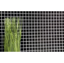 Decoratief groen gras voor mozaïektegels