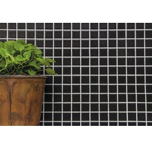 Wandtegel met mozaïekpatroon en plant in pot