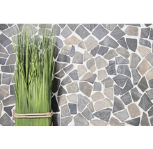 Decoratieve grassprieten voor een muur van imitatiesteen.