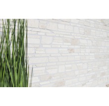 Natuurstenen wandbekleding met grassen op de voorgrond
