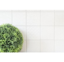 Lichte tegels met patroon en potplant
