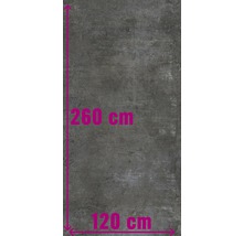 Grijze tegel met afmetingen 260 cm bij 120 cm.