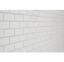 Close-up van een muur met witte gevelstenen