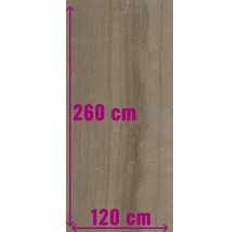 Keramische tegel met afmetingen van 260 cm bij 120 cm