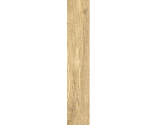 Houttegel met houtlook