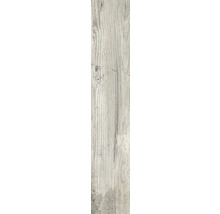 Houttegel met houtlook
