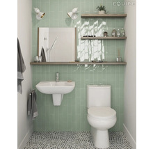 Badkamer met toilet, wastafel, spiegel, planken en groene tegels.