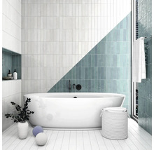 Moderne badkamer met ligbad, tegels en decoratie