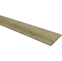Afzonderlijke vinyl plank met houten decor