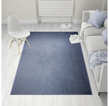 Inrichtingsvoorbeeld: woonkamer met blauw tapijt, stoel en bank