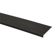 Plank