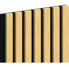Houten paneel voor wandbekleding