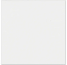 Witte achtergrond.