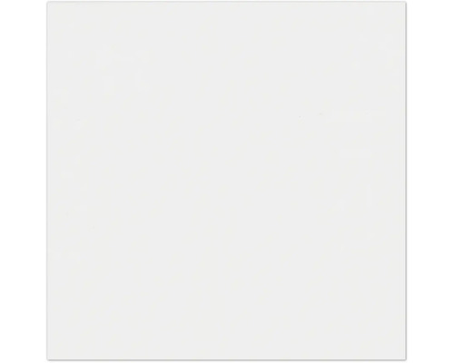Witte achtergrond. Witte achtergrond.