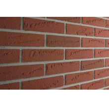 Wand met gevelstenen in baksteenformaat