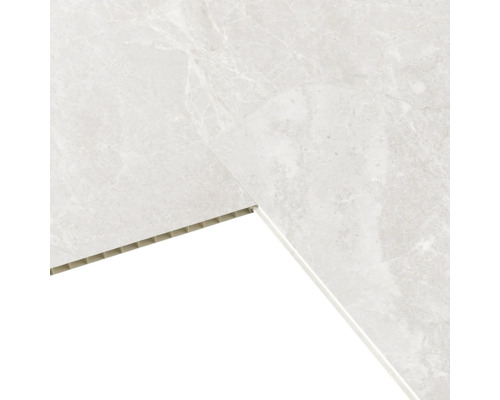 Paneel met marmerimitatie voor wand en plafond