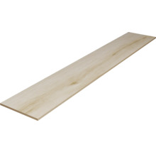 Houttegel met houtlook